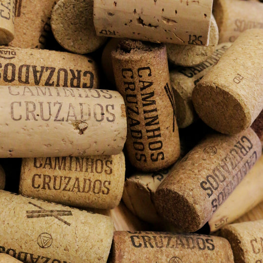 Da Cortiça à Rolha: a Tradição Portuguesa no Mundo dos Vinhos