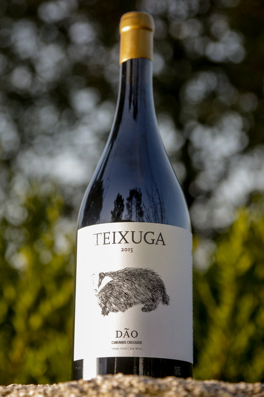 Wine Series - Teixuga Tinto