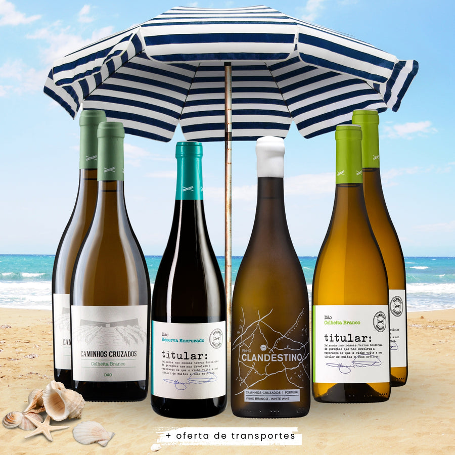 Party Summer Selection