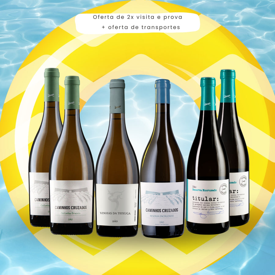 Summer Selection